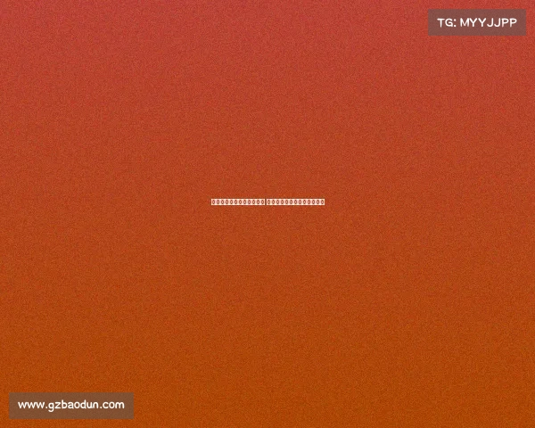 达拉斯独行侠的崛起与挑战 新时代篮球风云中的不懈追求